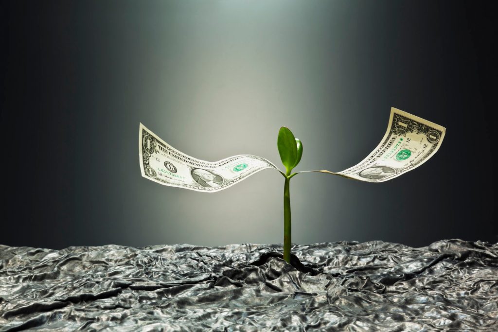Simulación de una flor realizada con billetes.