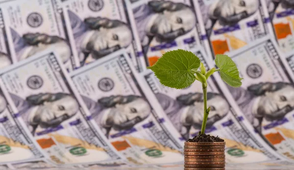 Mercado de inversiones