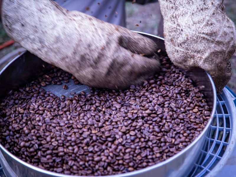 Granos de café de especialidad en proceso de selección o control de calidad, con enfoque en trazabilidad y perfil del producto.